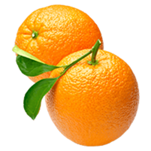 خرید نهال پرتقال تامسون