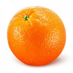 فروش نهال پرتقال تامسون
